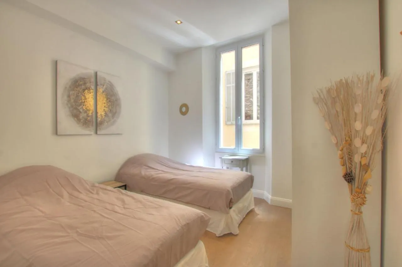 Jej1-Two Bedrooms Cannes Center Lejlighed